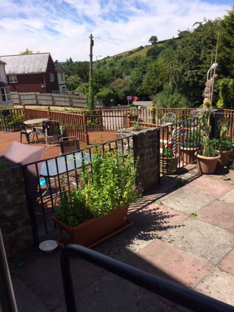 Redmount garden and patio