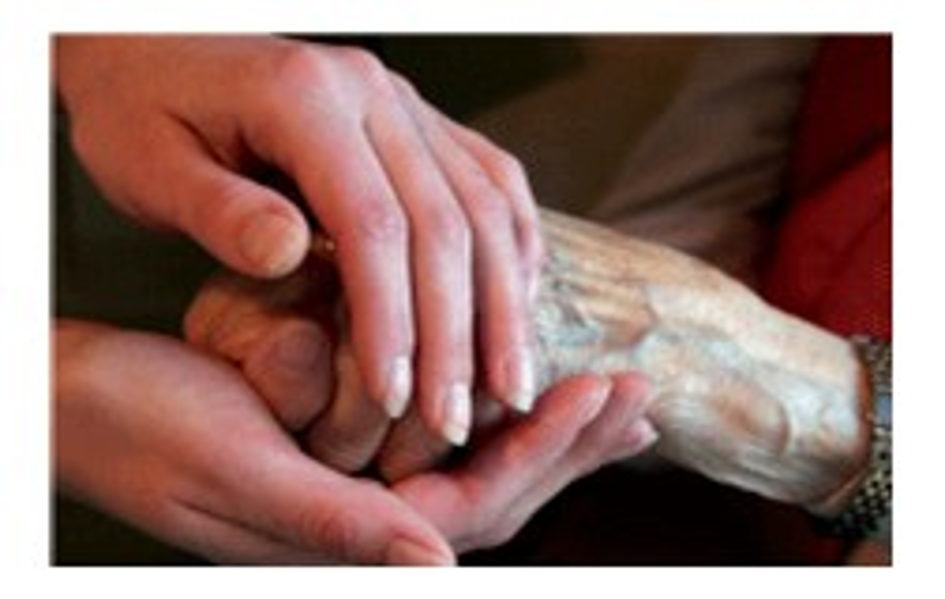Slider image #1 for Truevale Care