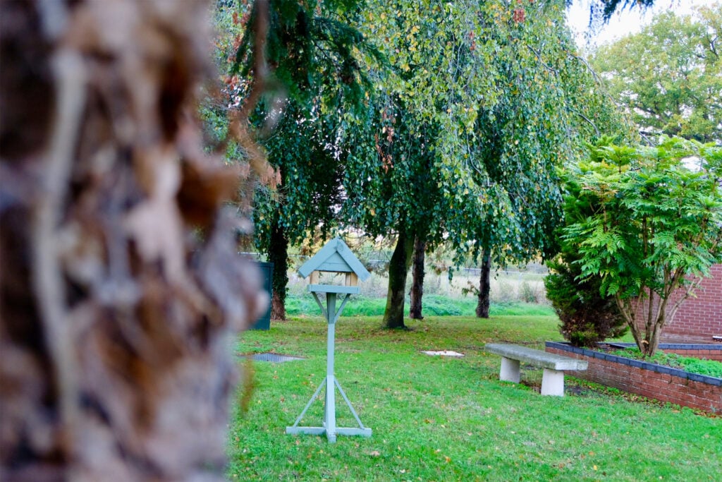 Slider image #9 for The Laurels Care Home