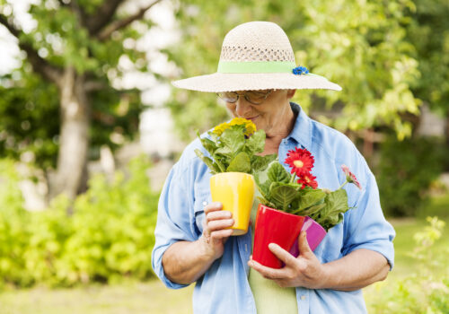 senior lady smelling flowers