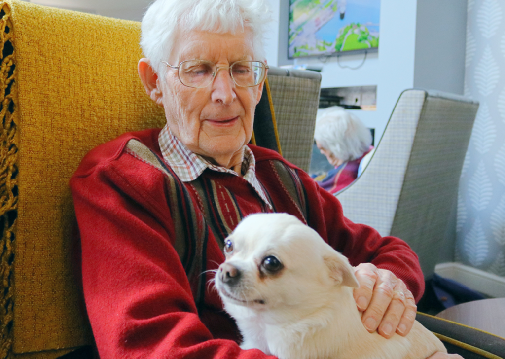 Slider image #2 for Fernleigh Court Care & Nursing Home