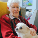 Slider navigation image #2 for Fernleigh Court Care & Nursing Home