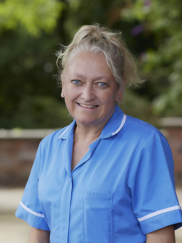 Image of Team Member from Maesbrook Care Home Image of Carol Stocking from Maesbrook Care Home