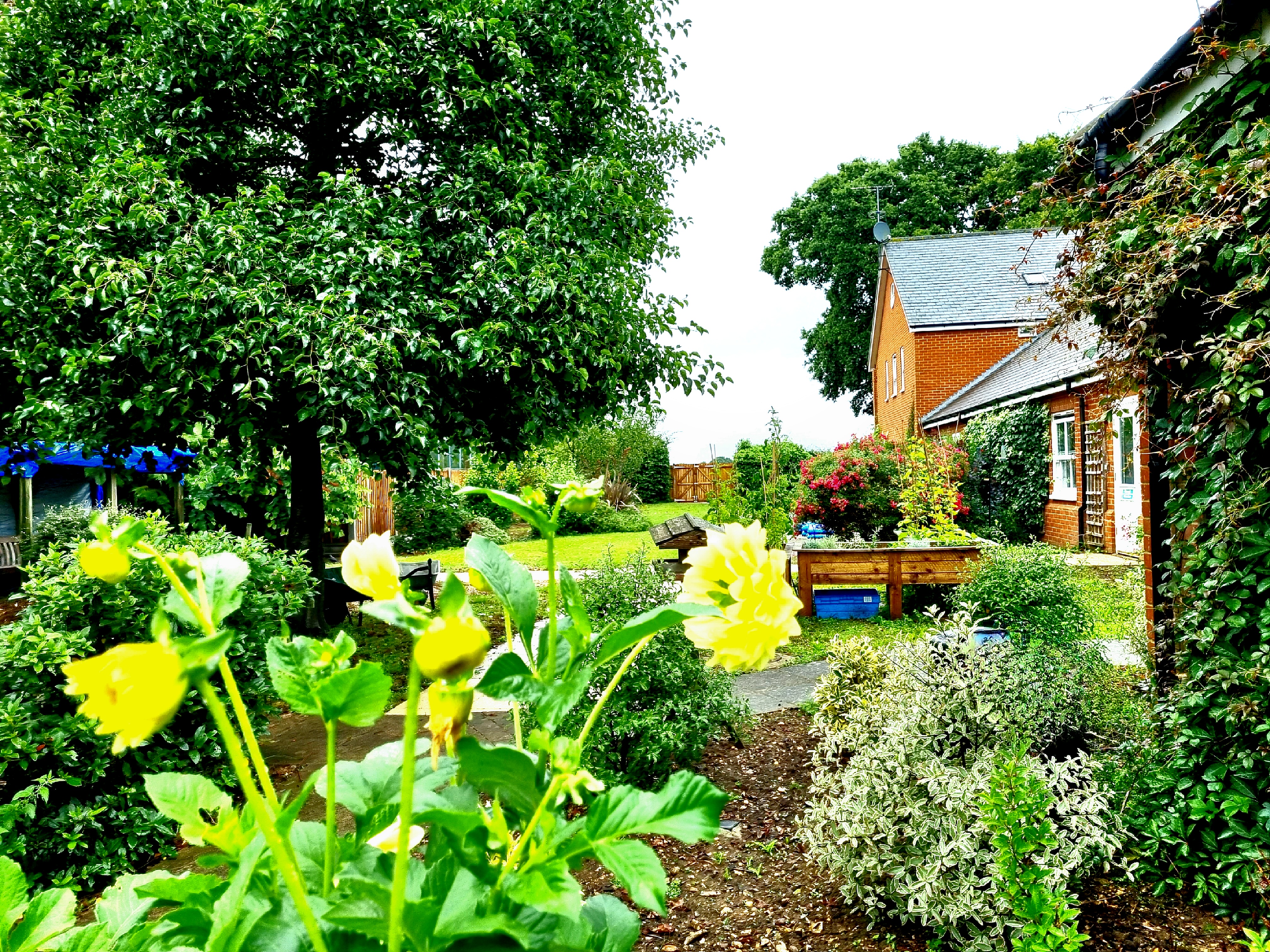 Slider image #2 for St Marys care home