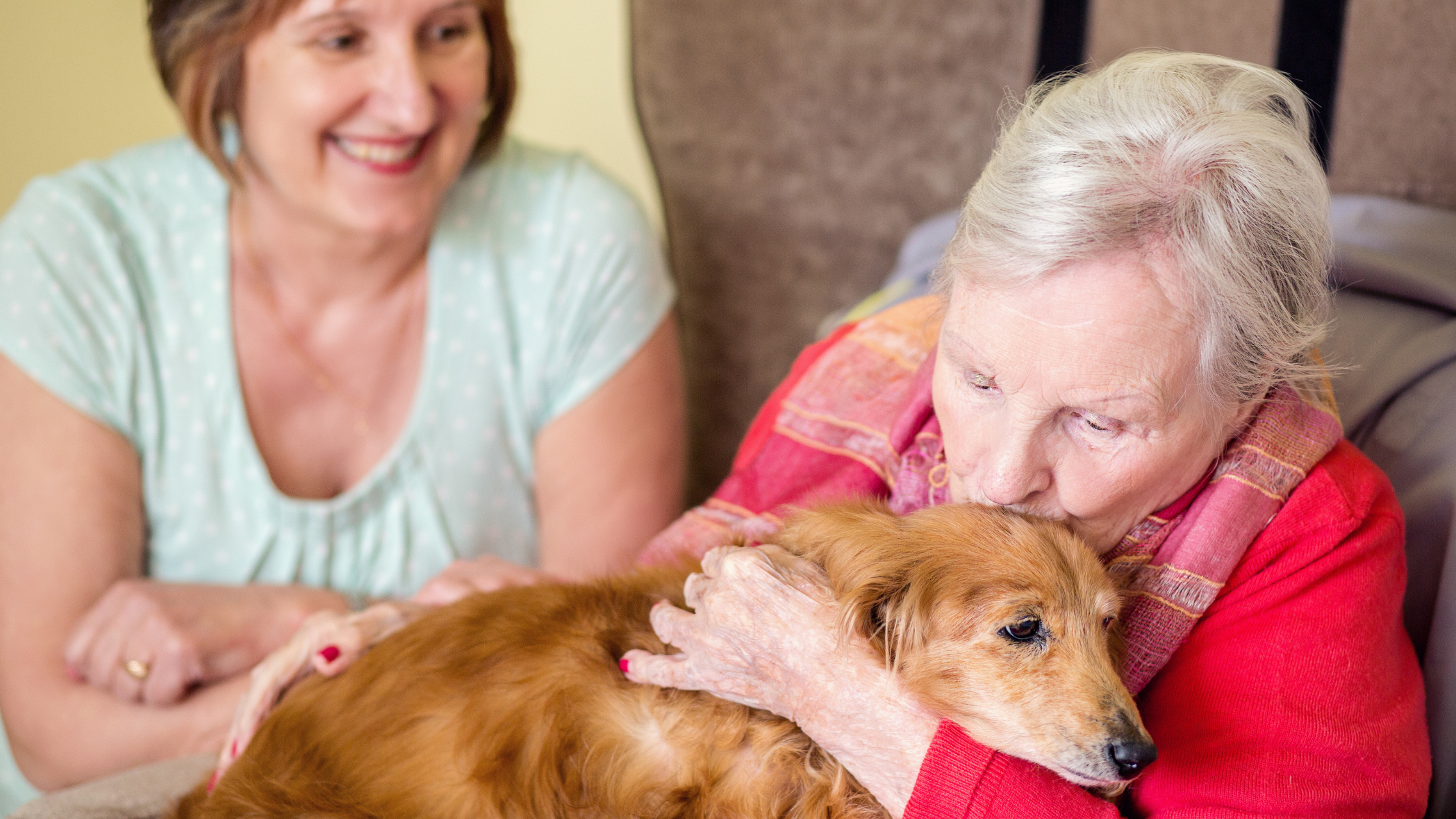 Slider image #4 for Access Care – Private Live-in Care Introductions for Discerning Households